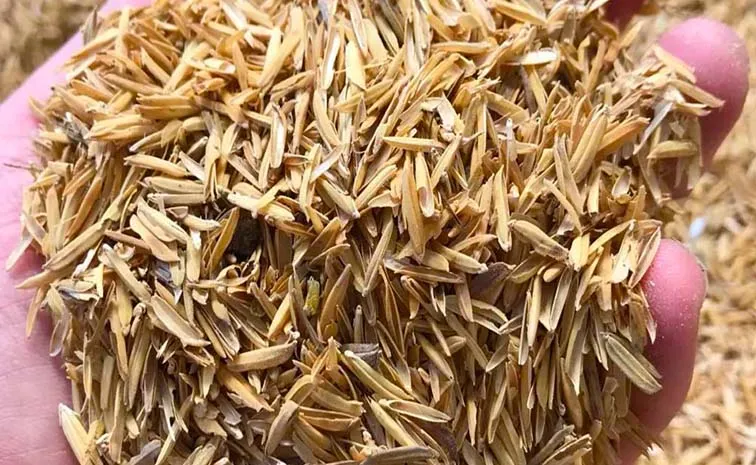 sagubadi: Surprising Uses of Rice Husks that Turn Trash into 