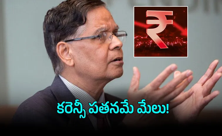 Currency Fall Could Benefit India Economy Says Arvind Panagariya
