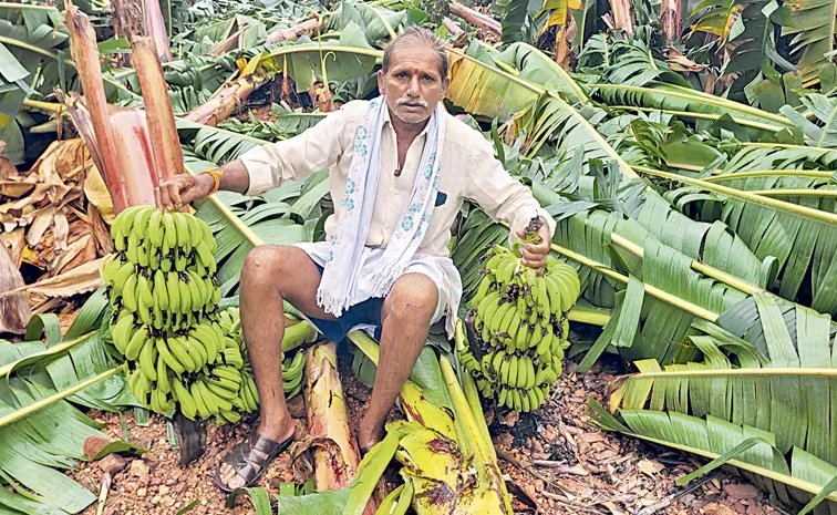 గాలివాన బీభత్సం