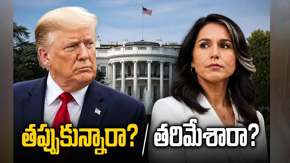 తులసి గబ్బార్డ్‌ ఎగ్జిట్‌.. వైట్‌హౌస్‌లో ఏం జరిగింది?