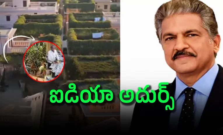 40 డిగ్గ్రీల ఉష్ణోగ్రతల్లో సైతం ఇళ్లను కూల్‌గా..! 
