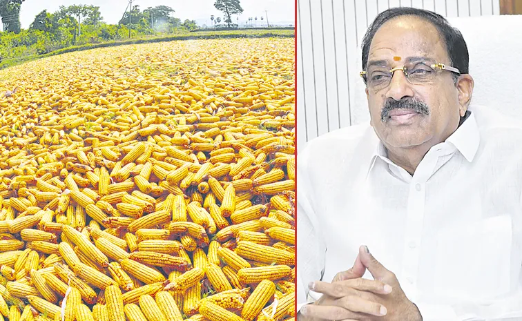 Telangana Govt Takes Key Decision on Markfed