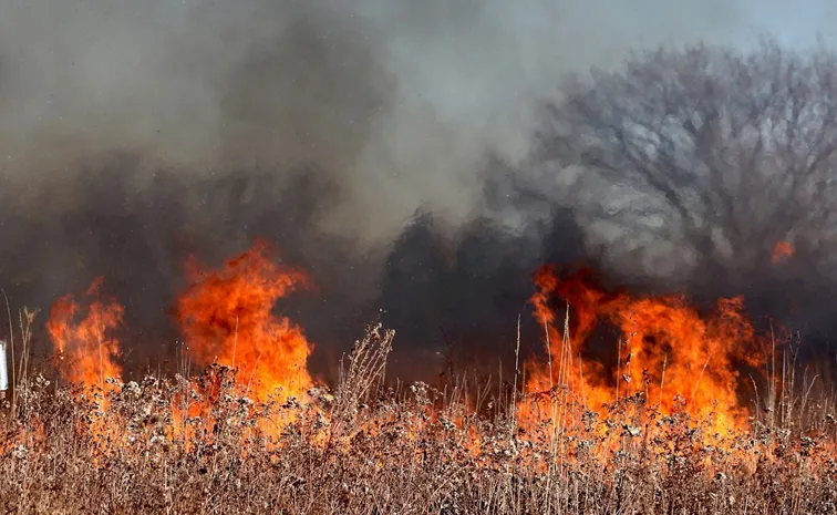 Burning of agricultural or grass burning carbon!