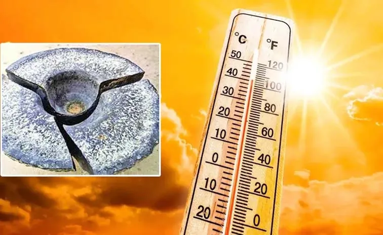 Devotion: Why Does Rohini Karte Cause Such Extreme Heat