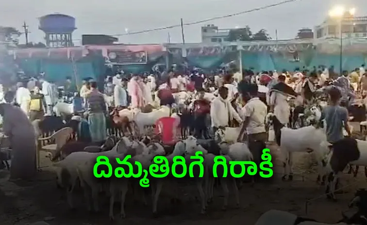 Massive 40  percent Surge in Goat Prices Across Major Indian Mandis