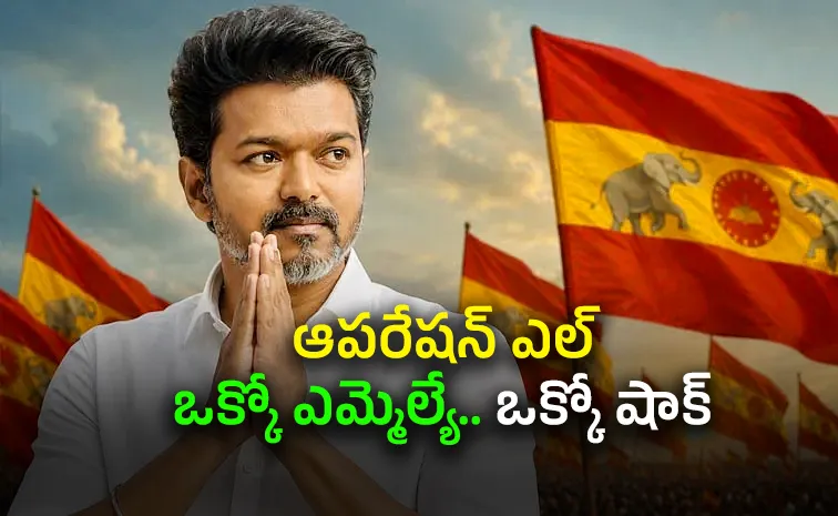 From coalition counts to solo power Vijay sketch in Tamil Nadu politics