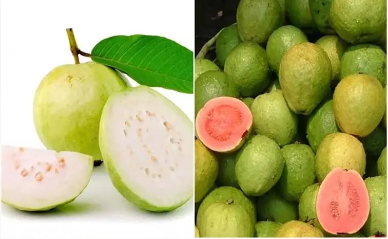 Pink Guava vs White Guava Amazing Health Benefits