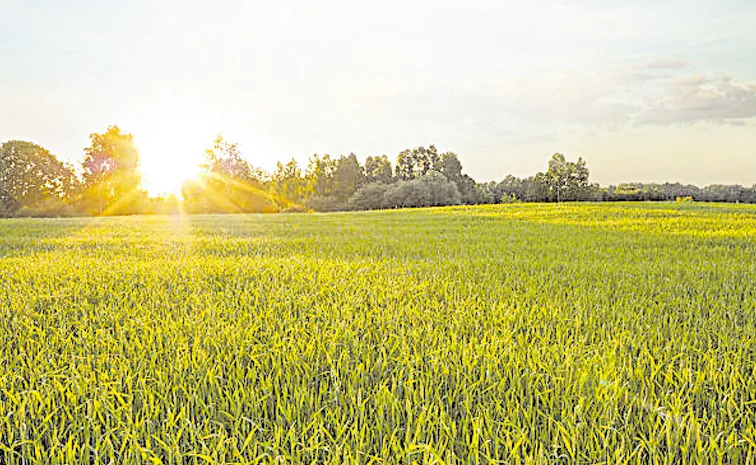 Southwest Monsoons likely to pick up in June: Andhra pradesh