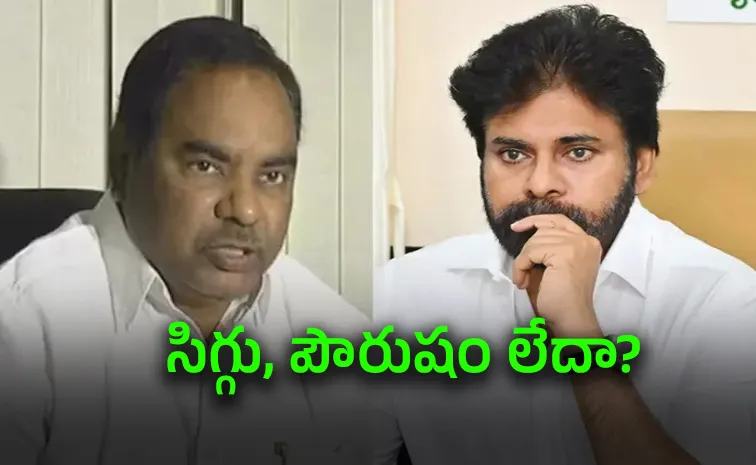 TDP Leader OV Ramana Sensational Comments On Pawan Kalyan