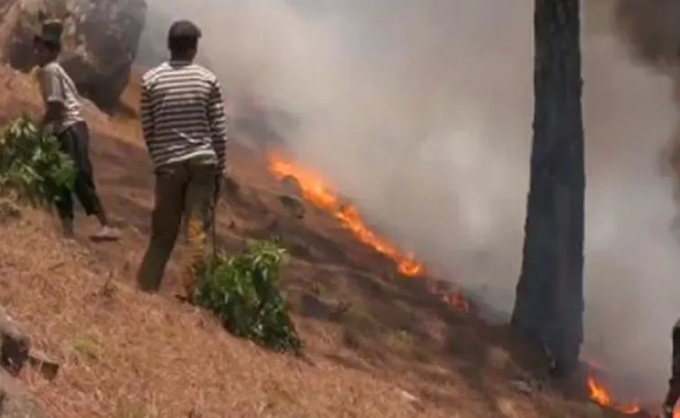 Himachal Forest Fires IAF Choppers Deployed as Heatwave Fuels Blaze