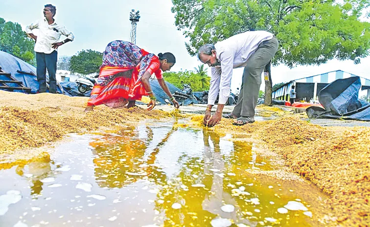 Untimely rains drenched farmers with Losses in Telangana