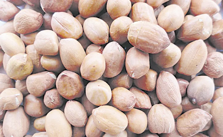 AP Farmers Concern Over Kharif Season Crops