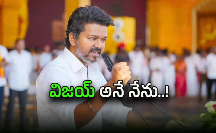 TVK Chief Vijay Moves Toward Government Formation in Tamil Nadu