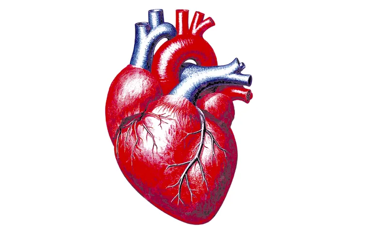 increased heart disease in india