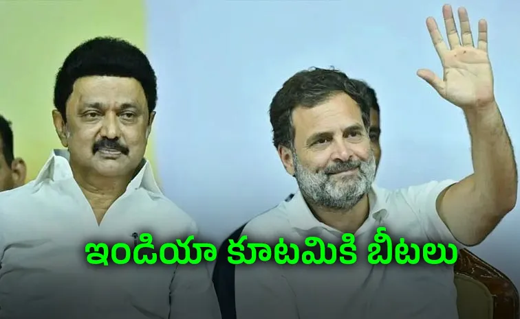 డీఎంకేతో కటీఫ్‌.. విజయ్‌కు మద్దతు