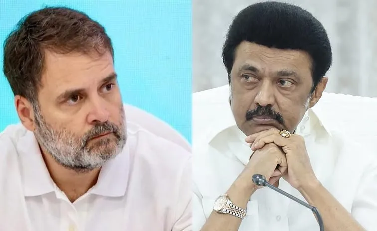 టీవీకేతో కాంగ్రెస్‌ పొత్తు.. డీఎంకే షాకింగ్‌ రియాక్షన్‌
