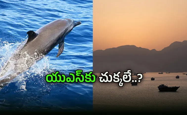 కామికేజ్ డాల్ఫిన్లతో దాడులకు టెహ్రాన్‌ ప్లాన్‌..?