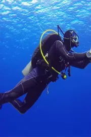 From Ocean Depths To Tech Heights, Sundar Pichai Calm Leadership Secret Revealed