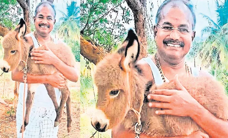 PMK Former MLA Arul Herding donkey