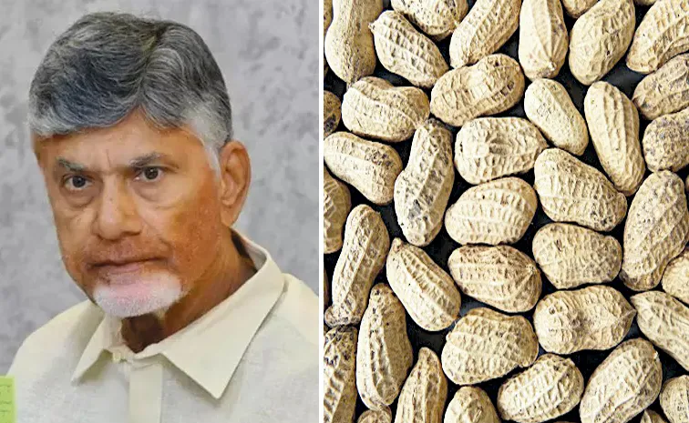 అన్నదాతలకు విత్తన కష్టం