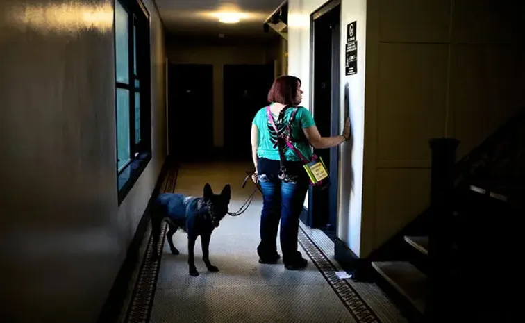 pet dogs harassment at apartment premises