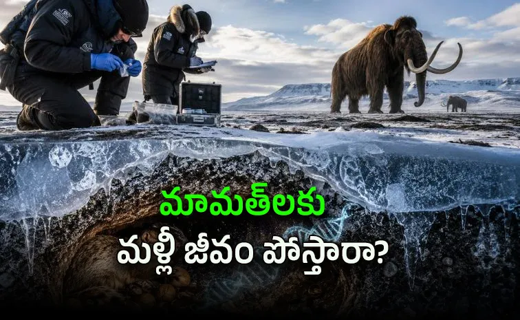 Mammoth DNA Found in Frozen Squirrel Droppings After Thousands of Years