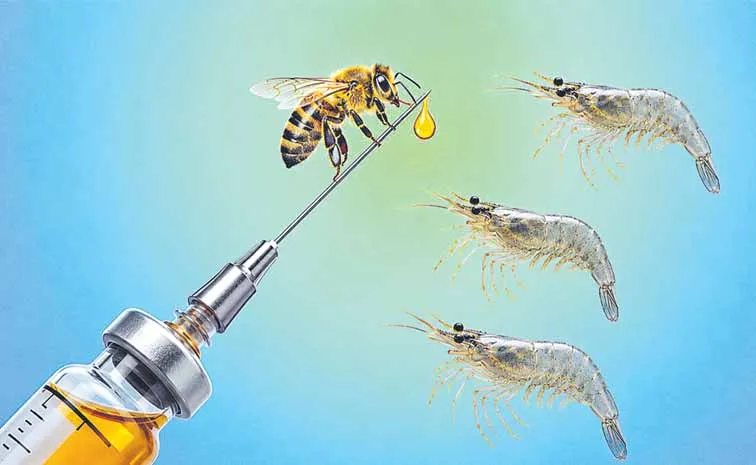Revolutionary invention that reduces the use of antibiotics
