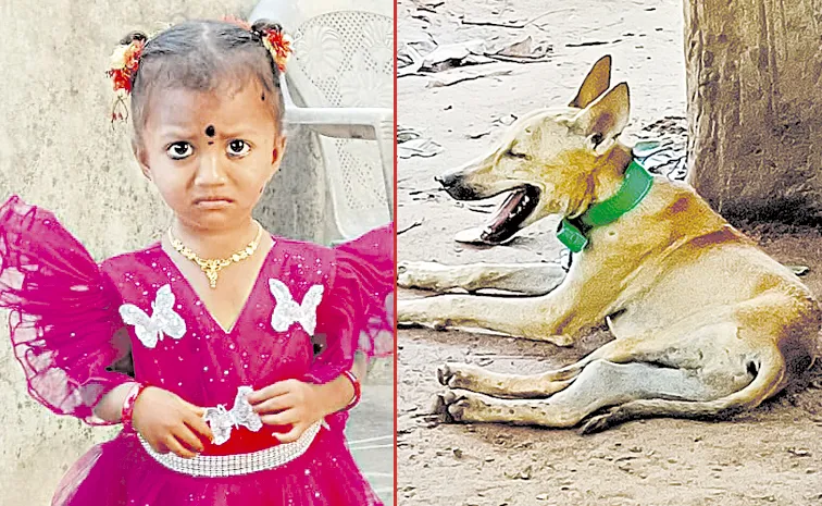 కుక్క దొరికింది.. చిన్నారి ఏమైందో..?