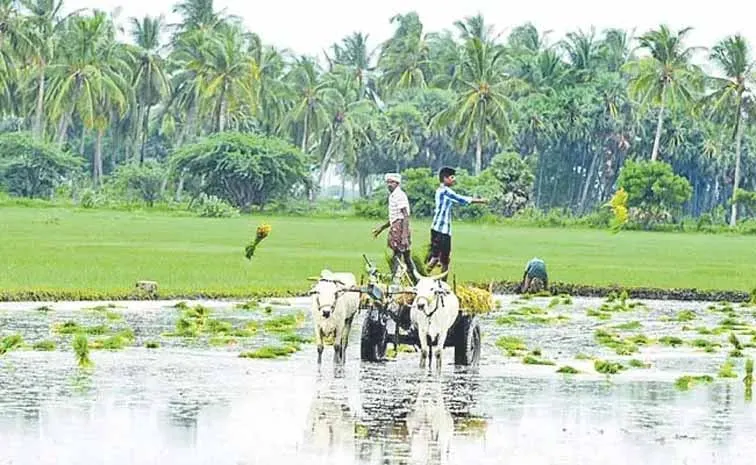 Cooperatives are key to changes in the agricultural sector