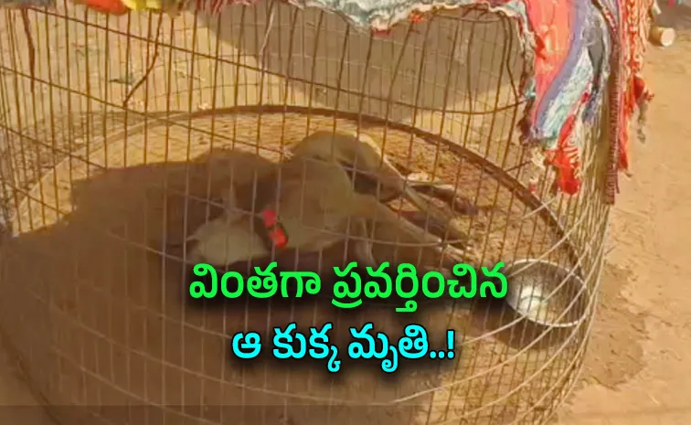 చిన్నారి మిస్సింగ్‌ మిస్టరీ.. అసలేం జరుగుతోంది..?