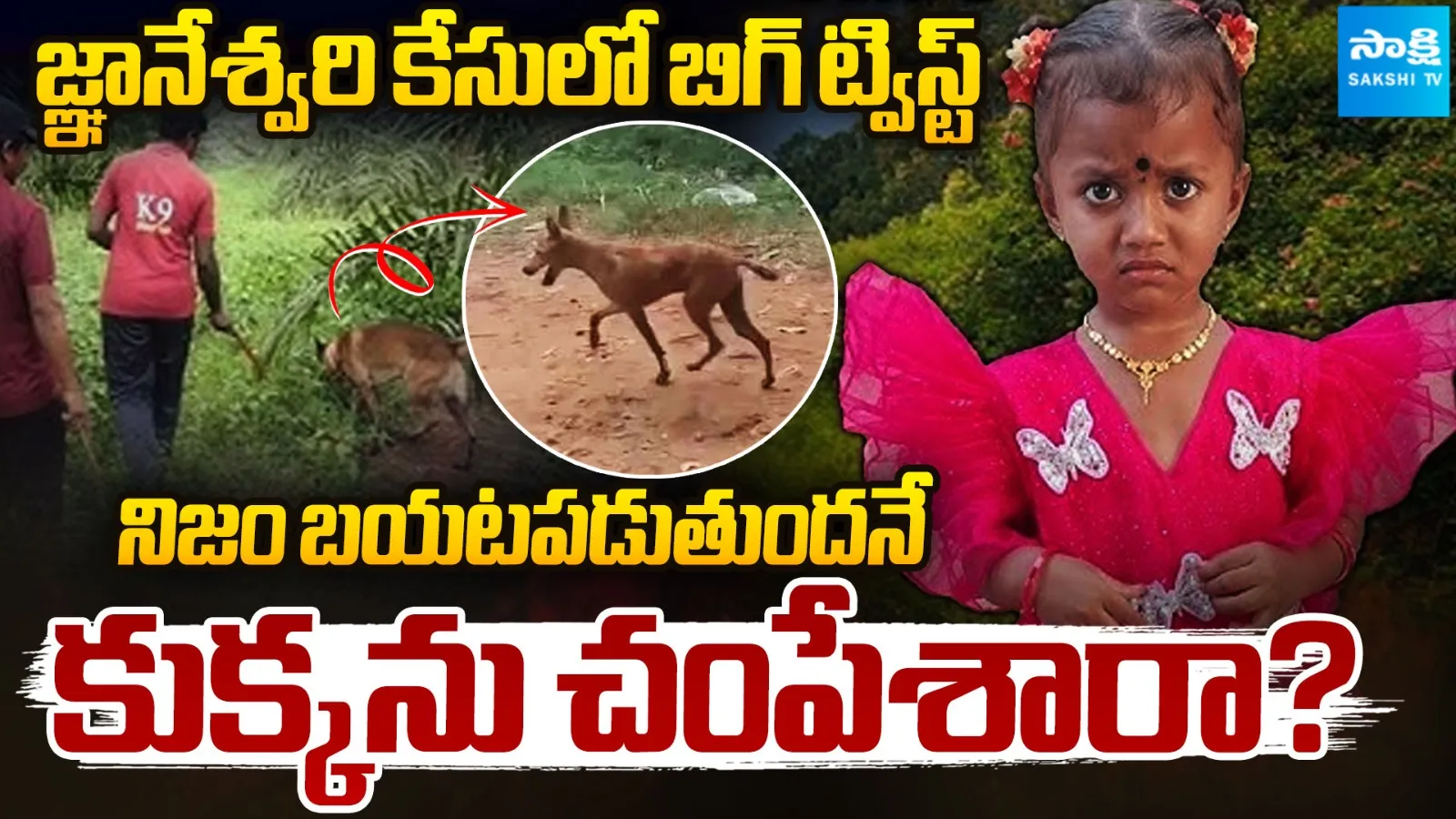 నిజం బయటపడుతుందనే కుక్కను చంపేశారా ?