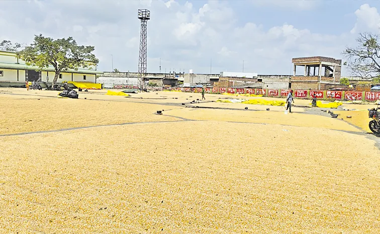 Procurement of 14 lakh metric tonnes of maize: Telangana