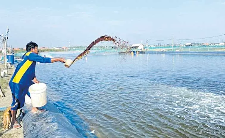 టీడీపీ స‘మేత’ దోపిడీ ముఠా