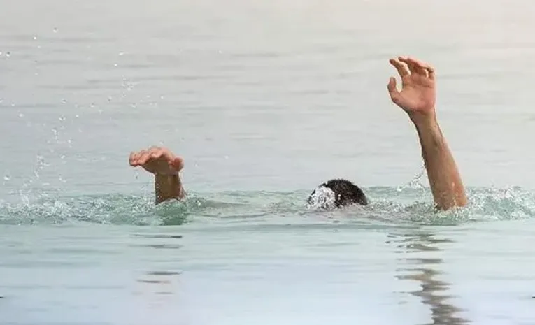 పల్నాడు జిల్లాలో విషాదం 