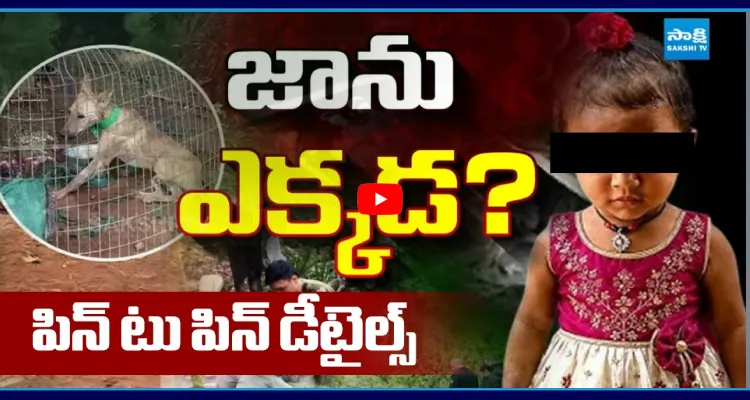 జాను ఎక్కడ? పిన్ టు పిన్ డీటైల్స్