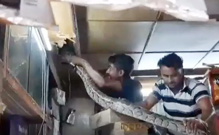 రేయ్‌ మావా.. ఇదేందిరా ఇంత ఉంది!!