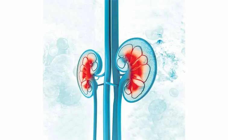 Kidney problems in the state are more than double the national average
