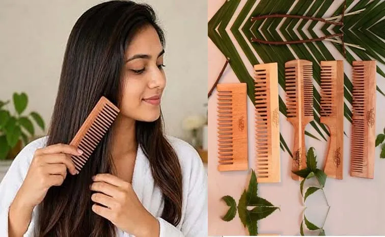 Beauty Tips: Which Comb Is Best for Hair A Complete Guide