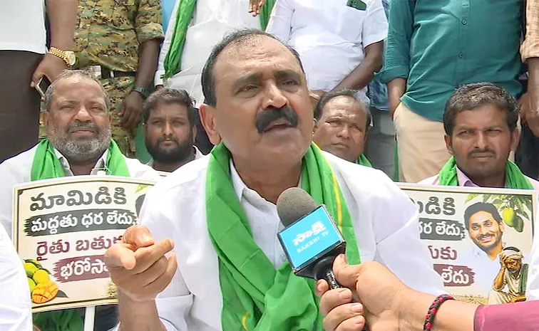 మామిడి పంటకు గిట్టుబాటు ధర.. వైఎస్సార్‌సీపీ నిరసనలు
