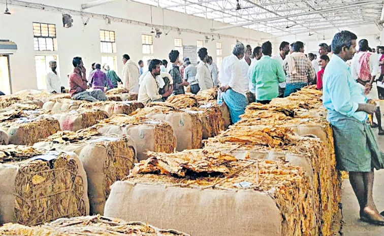 ధరల పతనంపై రోడ్డెక్కిన పొగాకు రైతులు