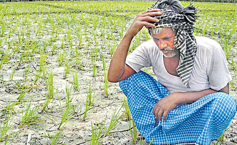 కుదేలవుతున్న కర్షకుడు
