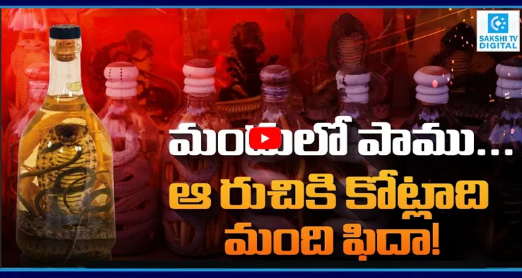 వామ్మో మందులో పాము... ఆ రుచికి ఫిదా! 