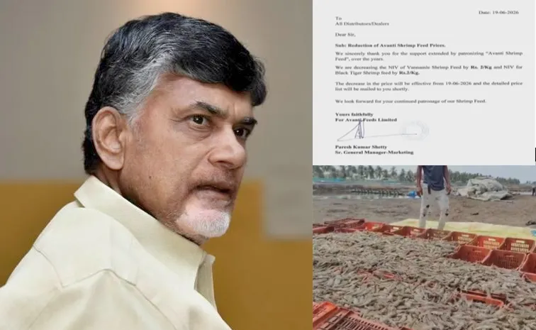 మరోసారి చంద్రబాబు సర్కార్‌ దగా