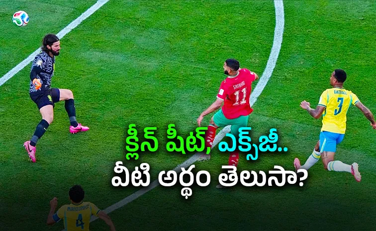 FIFA Fever in India: Do You Know These Common Football Terms