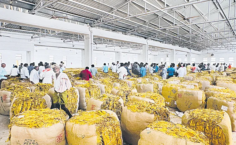 Tobacco prices crash following Chandrababu naidu announcement