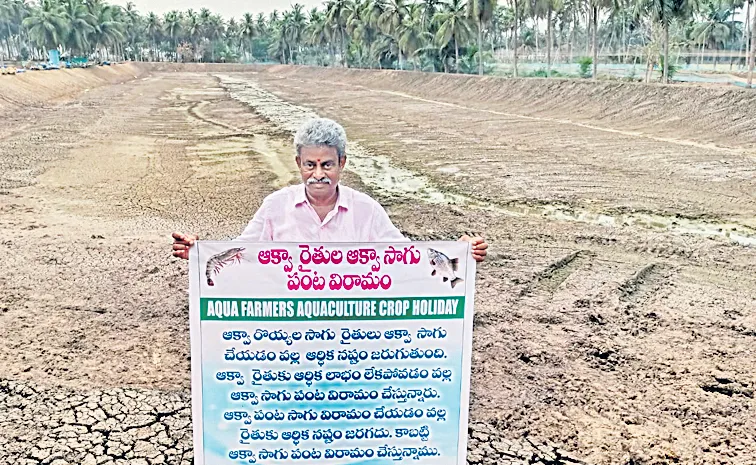 సాగు సమ్మె దిశగా రొయ్య రైతులు!
