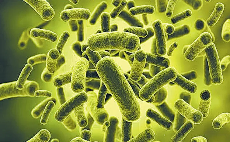 Krishna, Godavari rivers contaminated with coliform bacteria