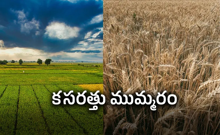 Centre Readies Plan B For Kharif Amid El Niño Threat