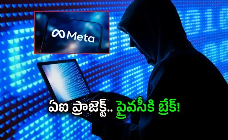 Meta Suspends AI Training Project After Employee Data Leak
