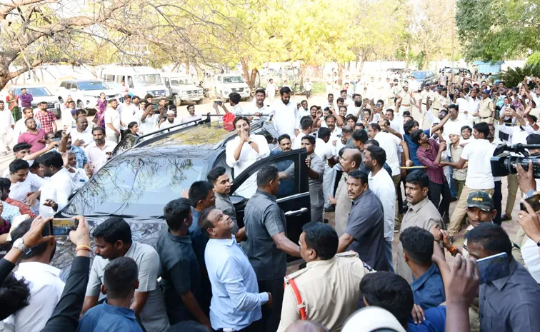 పులివెందులలో వైఎస్ జగన్‌కు బ్రహ్మరథం